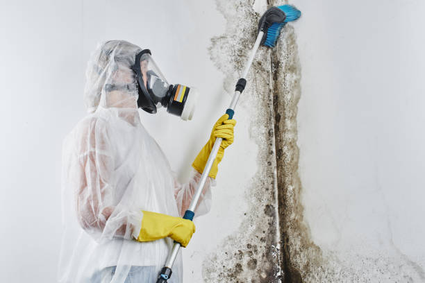 Best Water Damage Restoration  in Lus Valley Marinwood, CA