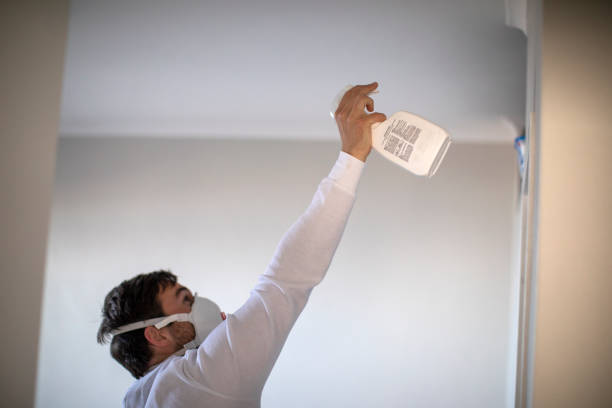 Best Mold Removal Near Me  in Lus Valley Marinwood, CA