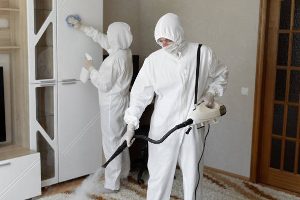 Best Mold Remediation  in Lus Valley Marinwood, CA